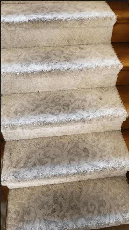 Carpet Stairs Deep Clean - Before